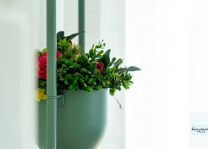 Blue Seaview Appartamento